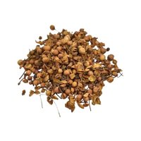 Nagkesar (Mesua ferrea)