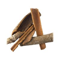 Ashoka (Saraca indica)