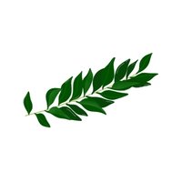 Neem