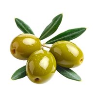 Olive Oil