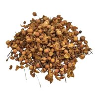 Nagkesar