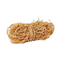 Amarbel (Cuscuta reflexa)