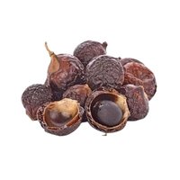 Reetha (Sapindus mukorossi)