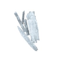 Menthol