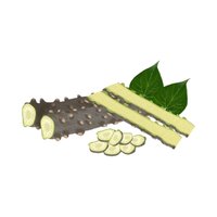 Giloy (Tinospora cordifolia)