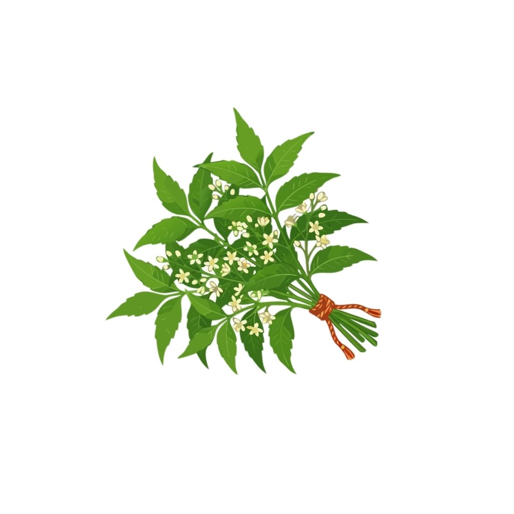 Neem