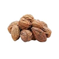 Haleela Badi (Terminalia chebula)