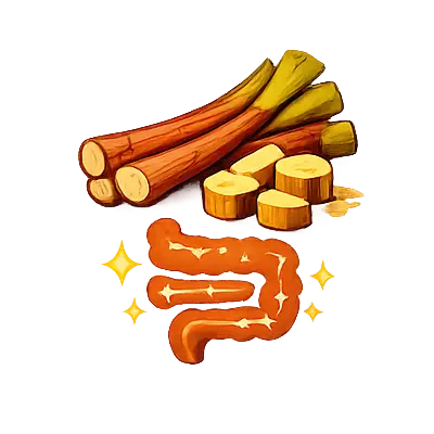 Rewand Chini (Rheum Emodi)