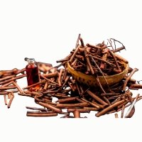 Rewand Chini (Rheum Emodi)